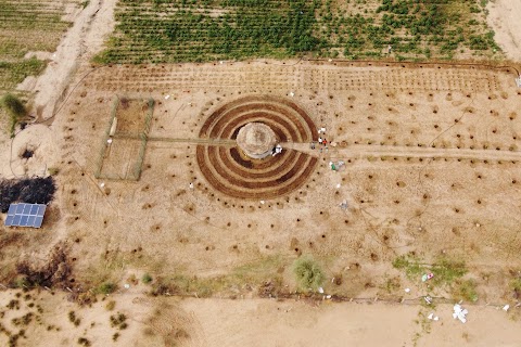 Senegalese plant circular gardens in Green Wall defence against desert