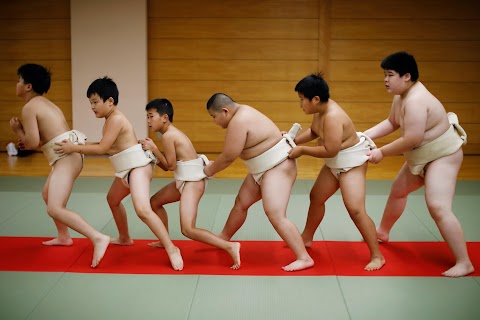 Meet Kyuta: the 10-year-old, 85-kilo sumo in training