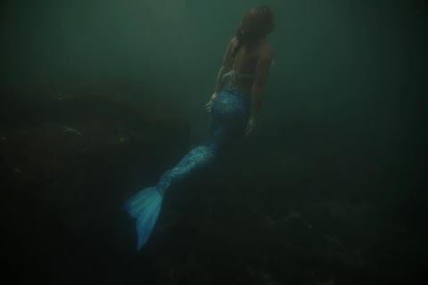 Splash! Life as a mermaid
