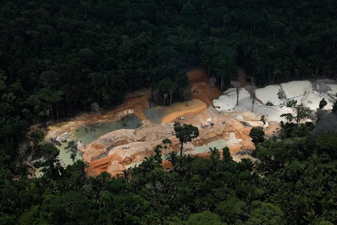 Brazil's Amazon rainforest under siege by illegal mines