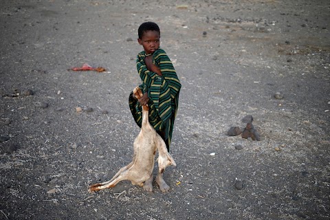 Drought-hit Kenyans burn animal carcasses
