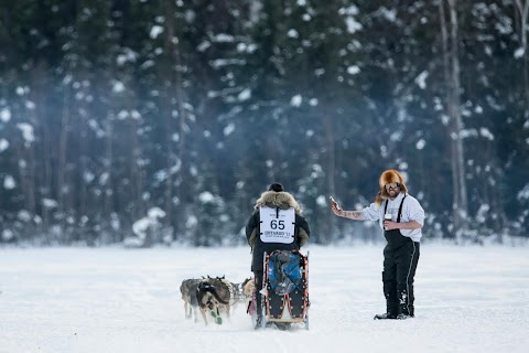 Dog dash through Alaska