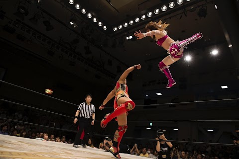 Japan's women wrestlers fight to win