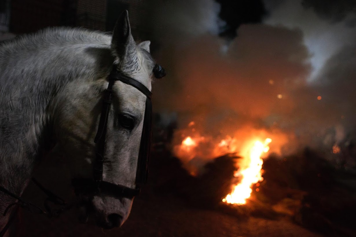 Горящая конюшня. Конь огонь. Огненный конь.